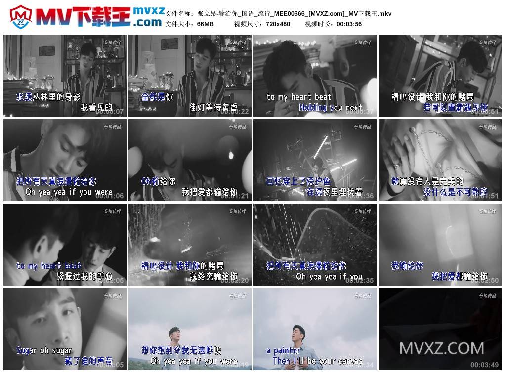 张立昂-输给你_国语_流行_MEE00666